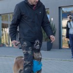 demonstratii dresaj canin - dogmaster
