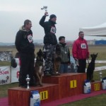 Solo - caini Dogmaster