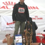 Solo - caini Dogmaster