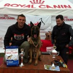 Solo - caini Dogmaster