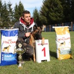 Solo - caini Dogmaster