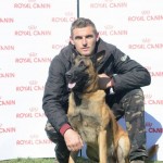 Solo - caini Dogmaster