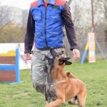 Solo - caini Dogmaster