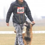 Solo - caini Dogmaster